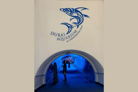 Dubai Aquarium and Underwater Zoo: A Spectacular Underwater World to Explore