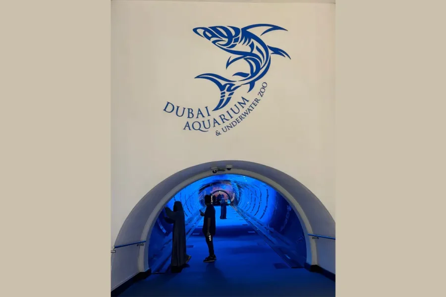 Dubai Aquarium and Underwater Zoo: A Spectacular Underwater World to Explore