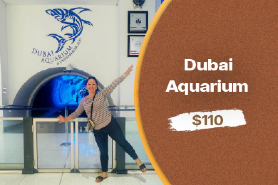 Dubai Aquarium and Underwater Zoo: A Spectacular Underwater World to Explore