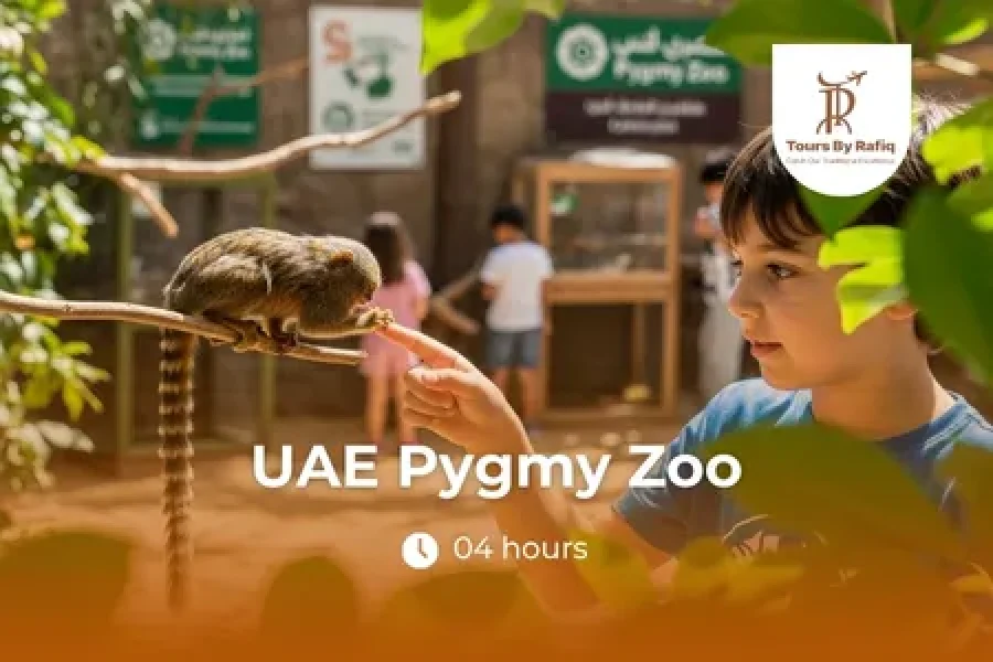 UAE Pygmy Zoo: Meet the Tiny Animals That Will Steal Your Heart