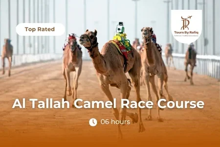 Al Tallah Camel Race Course: A Unique Cultural Adventure in the Desert