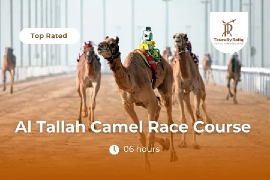 Al Tallah Camel Race Course: A Unique Cultural Adventure in the Desert