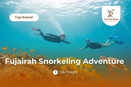 Fujairah Snorkeling Adventure with Turtles and Delicious BBQ Lunch from Dubai