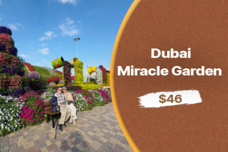 Dubai Miracle Garden: A Floral Wonderland Awaiting Your Discovery